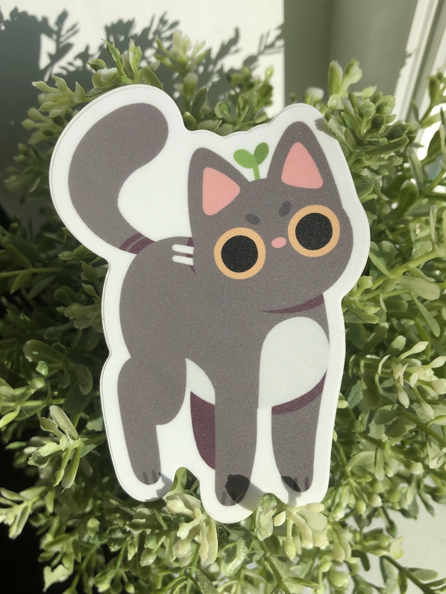 angy cat sticker