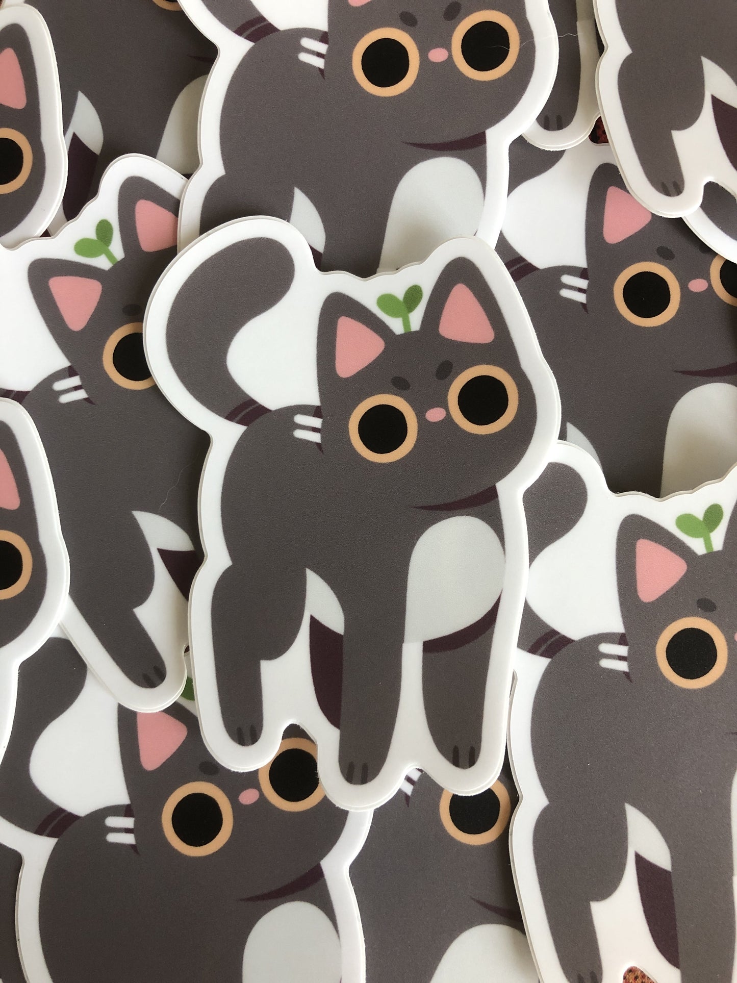 angy cat sticker