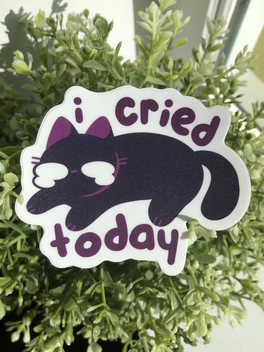 i cried today sticker