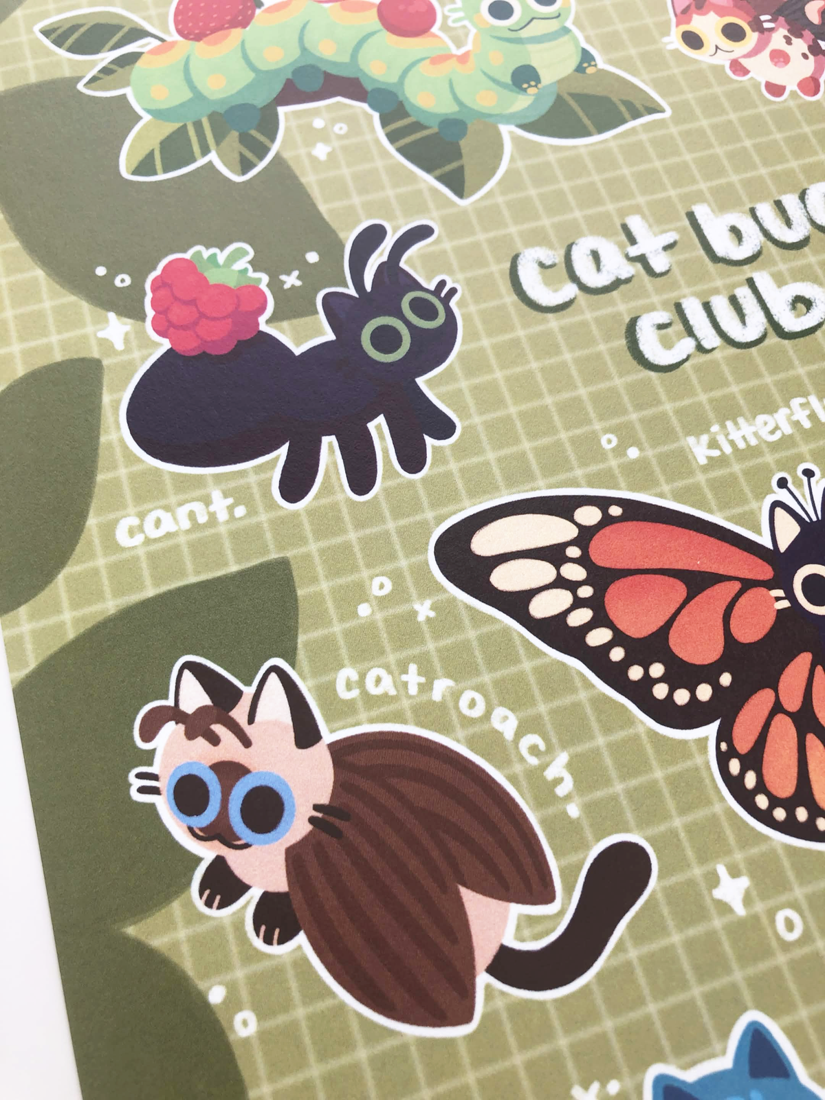 cat bug club print